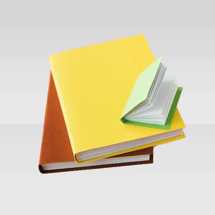 Tesis Portfolios Manuales